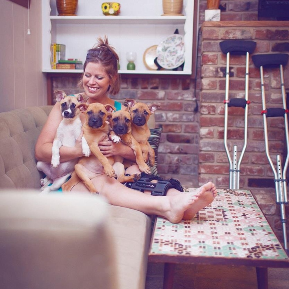 Spay. Neuter. Vaccinate. Microchip. #opttoadopt